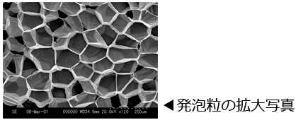 発泡粒拡大画像