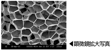 発泡ビーズ　顕微鏡拡大写真